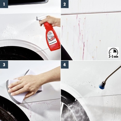 Preview: SONAX_FLUGROSTENTFERNER2