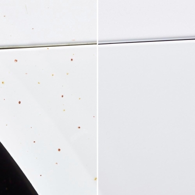 Preview: SONAX_FLUGROSTENTFERNER3