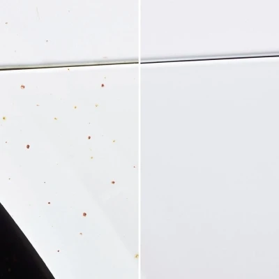 SONAX_FLUGROSTENTFERNER3