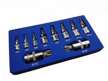 Craft-Equip 10tlg. Innenvielzahn Bit-Satz 1/4" 3/8" 1/2" M4-M18